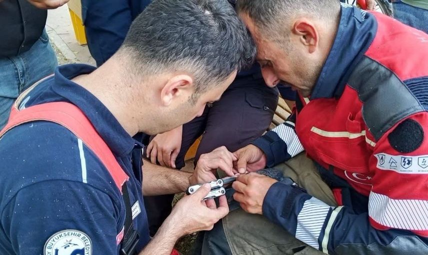 İskenderun’da ağaçta mahsur kalan güvercin itfaiye ekipleri tarafından kurtarıldı