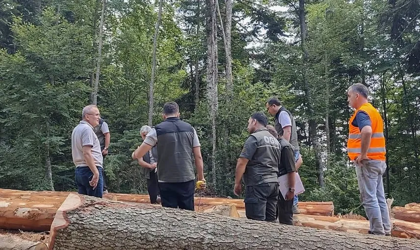 Bolu ormanlarındaki bakım çalışmaları yerinde denetlendi