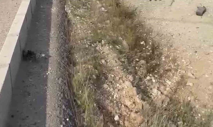 Elazığ'da direksiyon hâkimiyeti kaybedildi: Sadece bir yaralı var