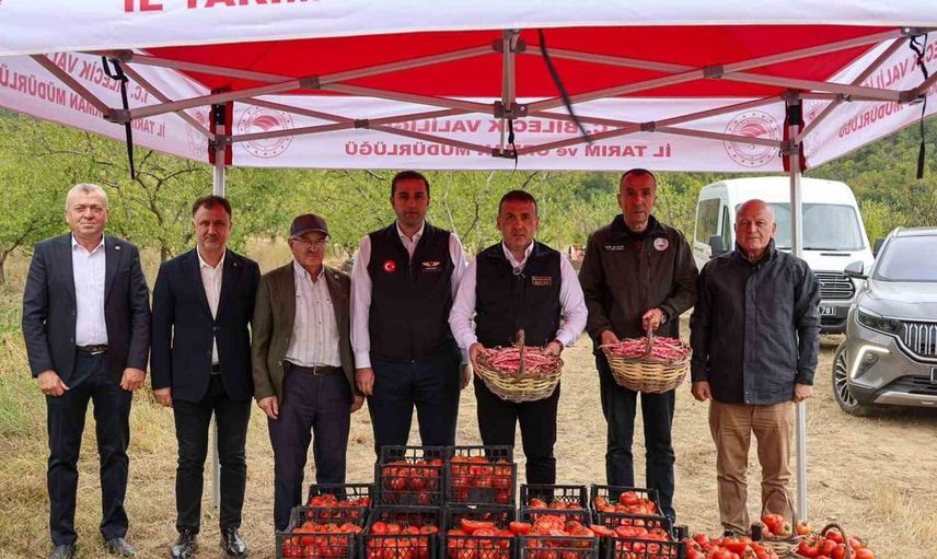 Bilecik'te barbunya hasadı başladı: 4 bin 500 ton taze ürün bekleniyor