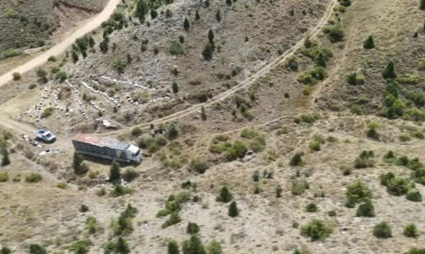 Konya'nın yaylalarında doğal bal üretiminde yeni dönem: 240 kovanlık mobil tır