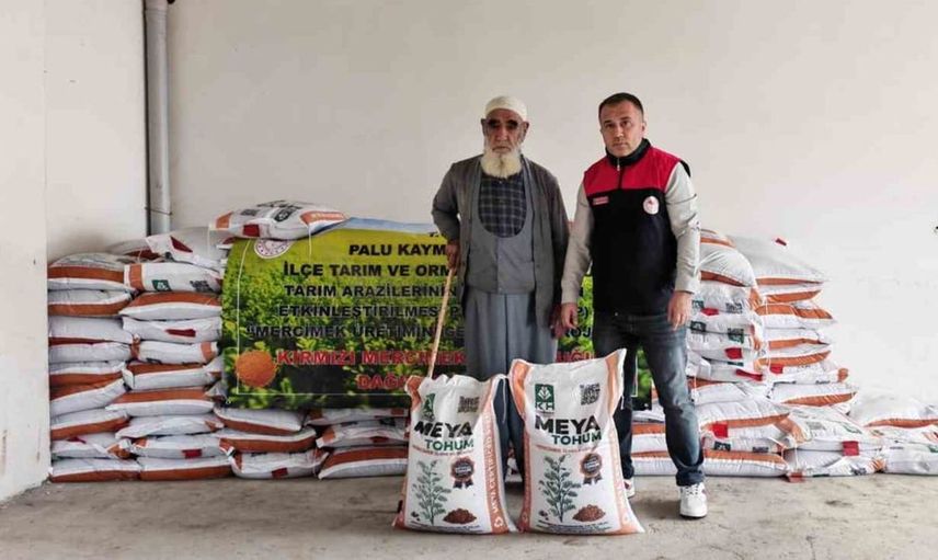 Palu'da üreticilere destek: yüzde 70 hibeli kırmızı mercimek tohumu dağıtıldı
