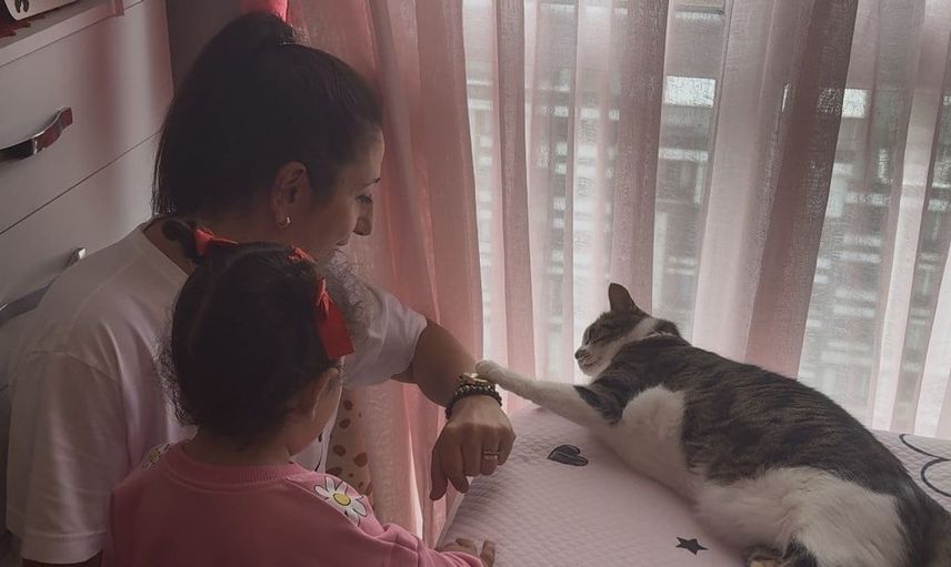 Hırçın kedi hırsızları geri püskürttü: O anlar güvenlik kameralarında