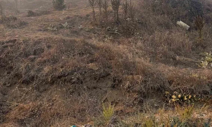 Bozüyük'teki orman yangını sonrası kontrol çalışmalarında önemli ilerleme kaydedildi