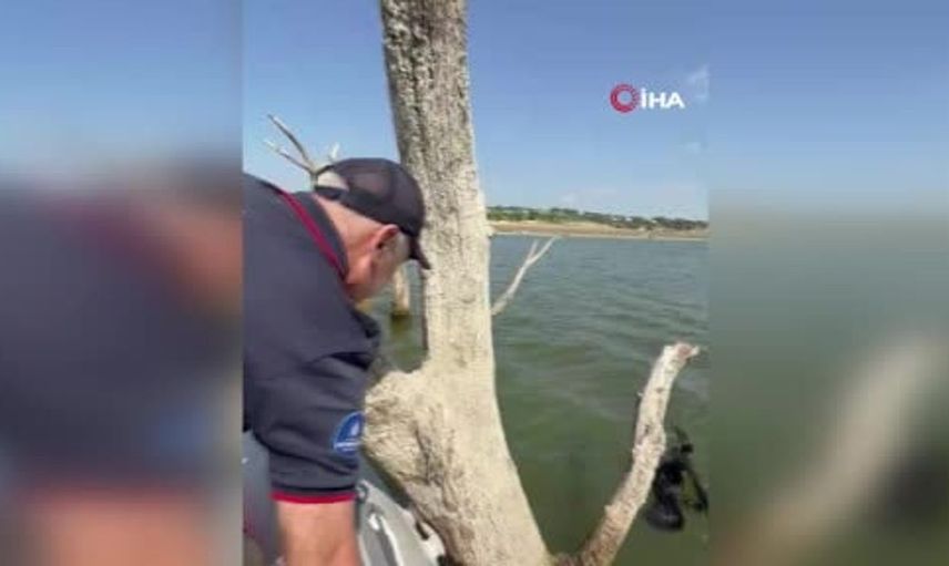 Sazlıbosna Barajı'ndaki karabatak, itfaiye ekipleri tarafından kurtarıldı
