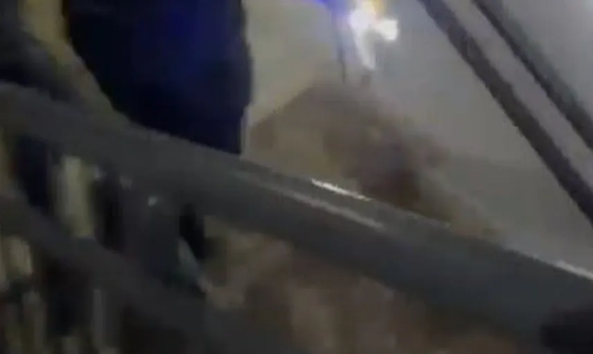 Osmaniye'de üçüncü kata çıkan tilki itfaiye ekipleri tarafından kurtarıldı