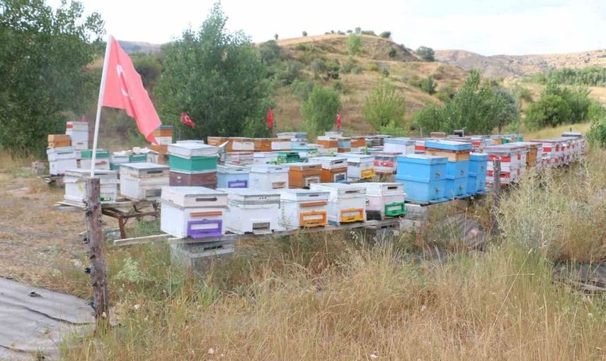 Erzincan'da arıcılık ve vatan sevgisi bir arada: Ali İhsan Çakar'ın anlamlı çalışmaları