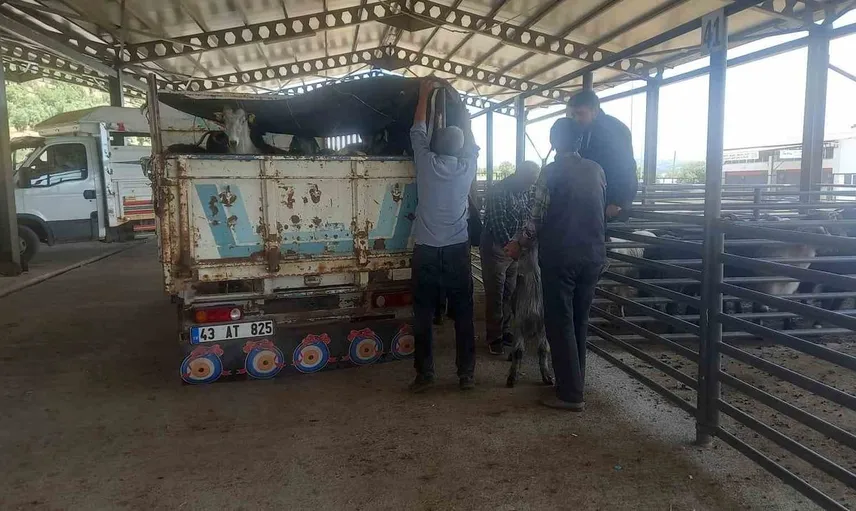 Gediz'de hayvan pazarı artık pazartesi günleri kurulacak