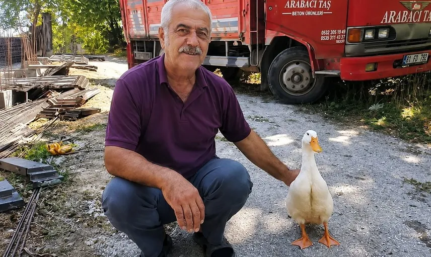Yaşar Genç'in ördek dostu: Sadakat ve sevgi dolu bir hikaye