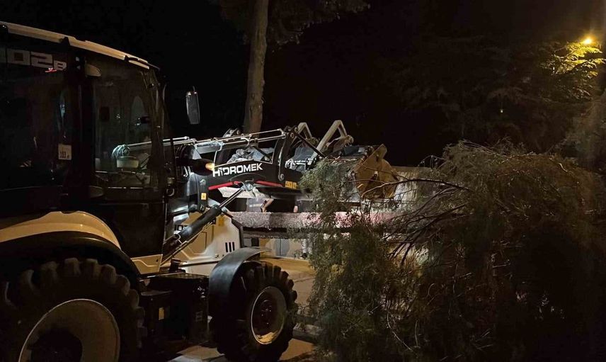 Çorum'da fırtına ağaç devirdi, büyük bir facia önlenmiş oldu
