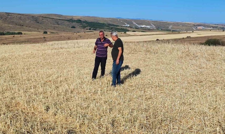 Yozgat'ta dolu afeti tarım arazilerinde büyük zarara yol açtı