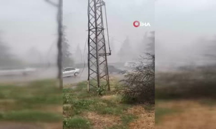 Erbaa'da etkili olan sağanak yağış ve fırtına ağaçları devirdi
