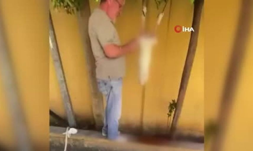Güngören'de sokakta tavşanı kesip derisini yüzen kişi gözaltına alındı