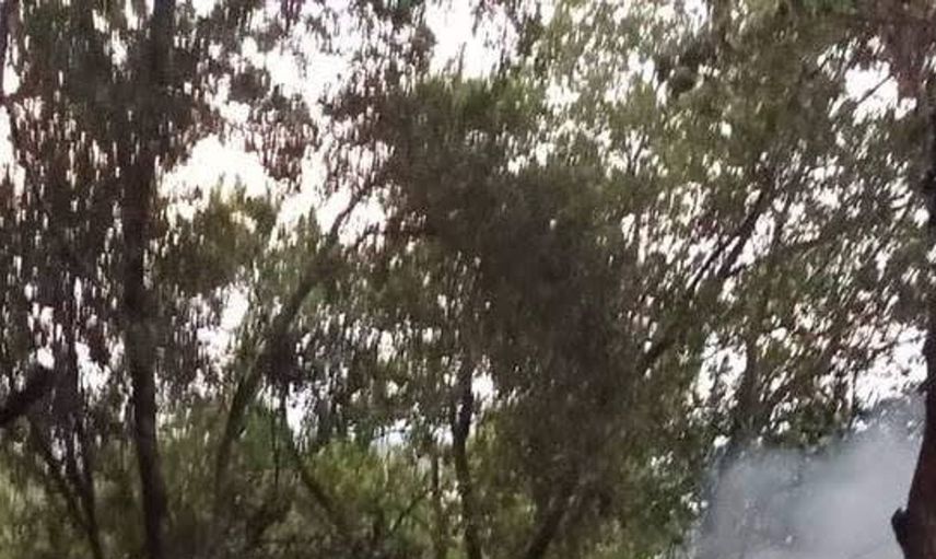 Samandağ'da bahçe yangınına hızlı müdahale: Yangın kontrol altına alındı