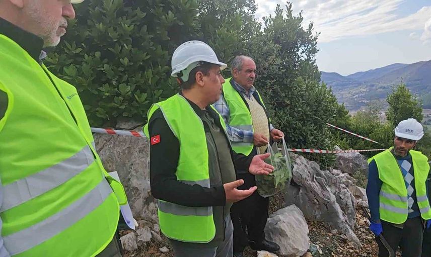 Defne çalıştayı ile Andırın'ın yeşil altın potansiyeli artırılıyor