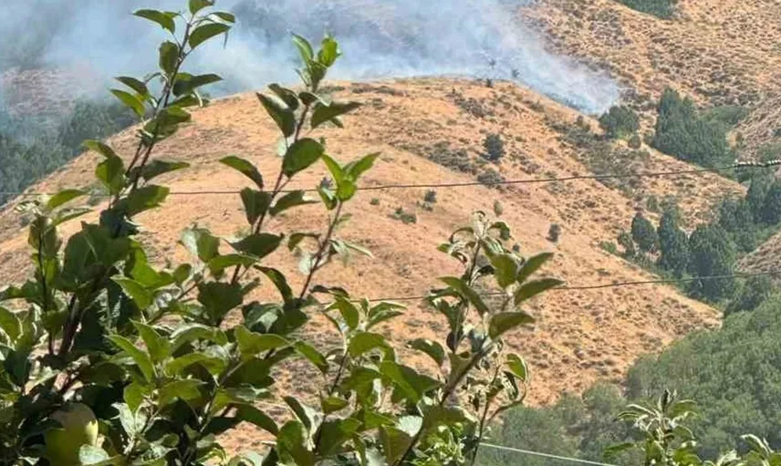 Bingöl'de örtü yangınına müdahale ekipleri sahada
