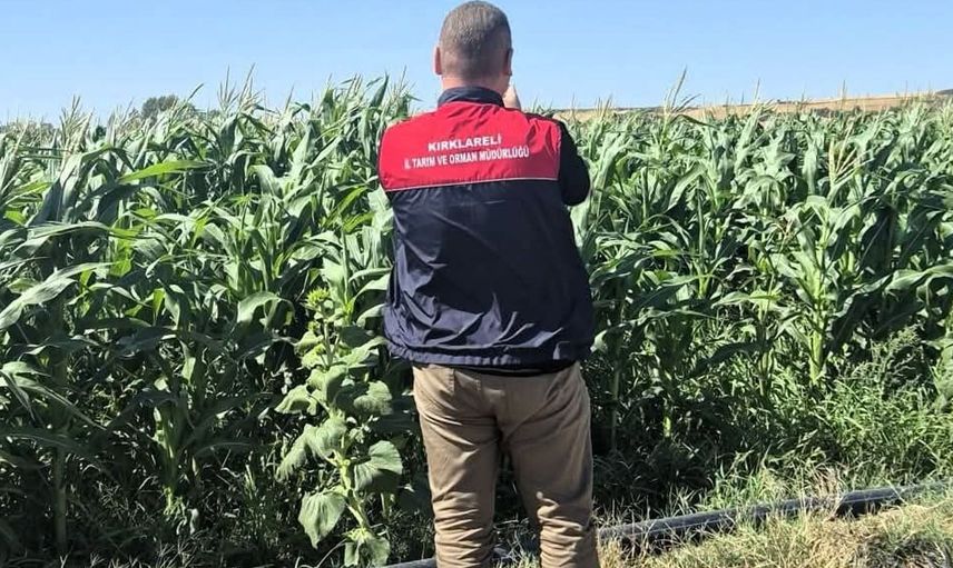 Kırklareli'de tarım arazileri tek tek kontrol ediliyor