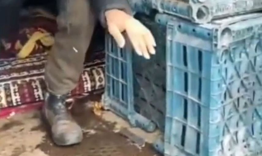 Düzce'de düzensiz göçmenlere yönelik operasyon: 7 kişi yakalandı