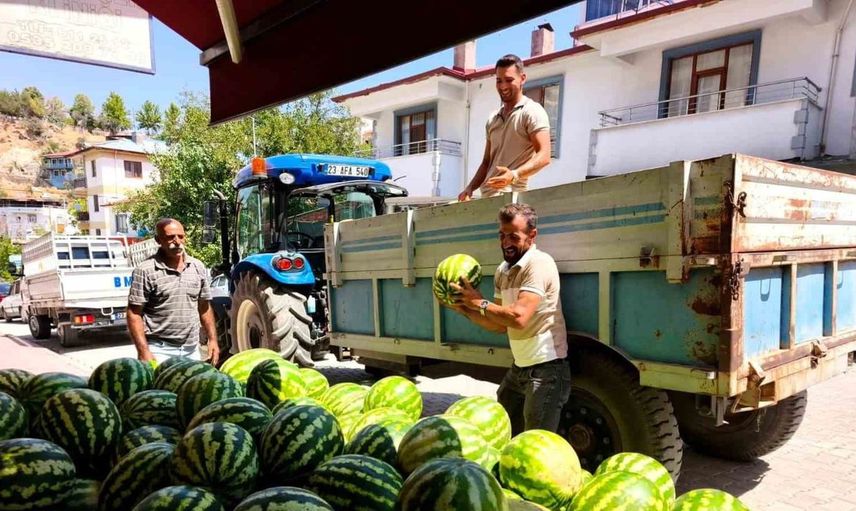 Tunceli'nin doğal lezzeti: Hıdıroz Karpuzu raflarda yerini aldı