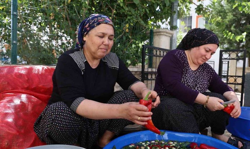 Kozan'da salça sezonu başladı: Damlar Türkülerle doldu