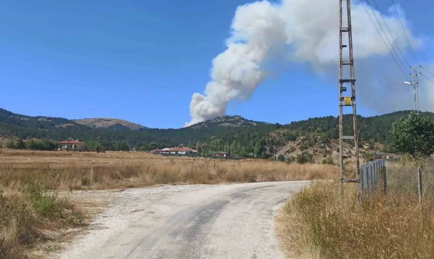 Çankırı-Ankara sınırındaki orman yangınına havadan ve karadan müdahale sürüyor