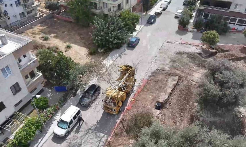 Didim'de yeşil alan koruma çalışmaları hız kazandı