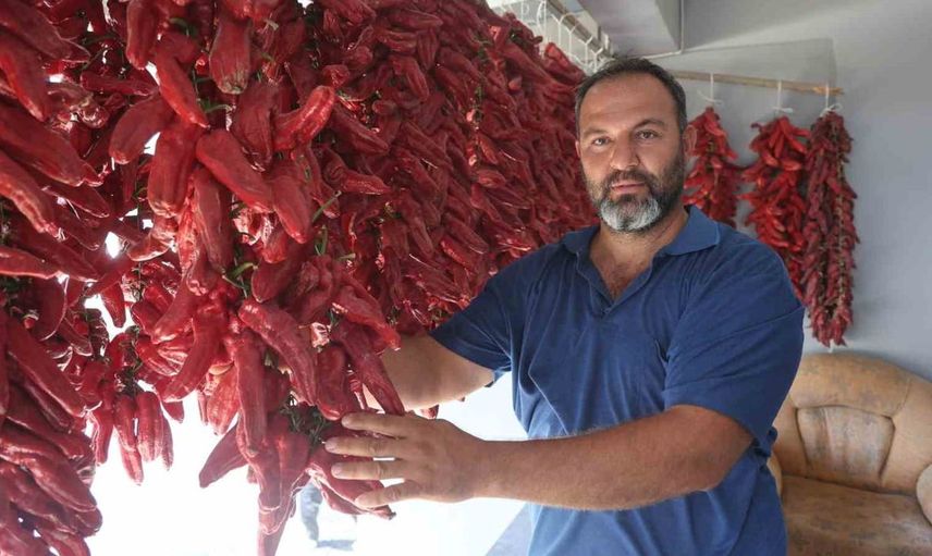 Hatay'da dolmalık biberler balkonları süslüyor: Görsel şölen yaratıyor