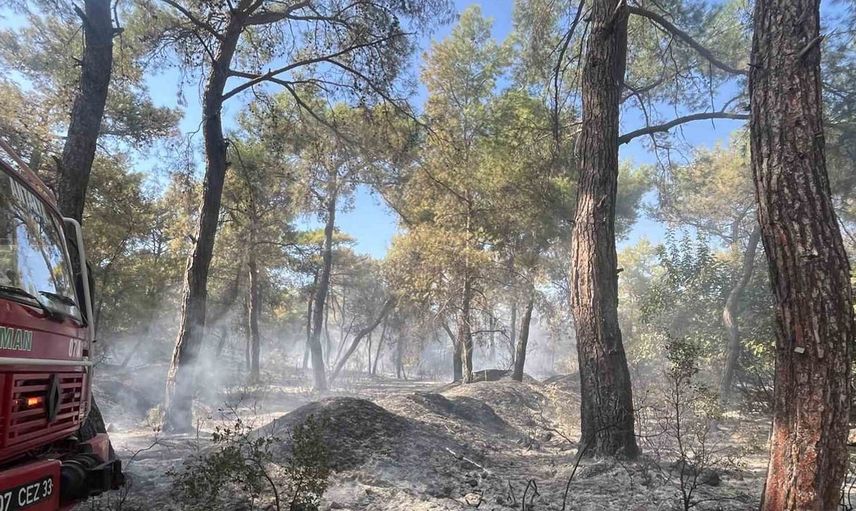 Antalya'da çıkan orman yangını kısa sürede kontrol altına alındı
