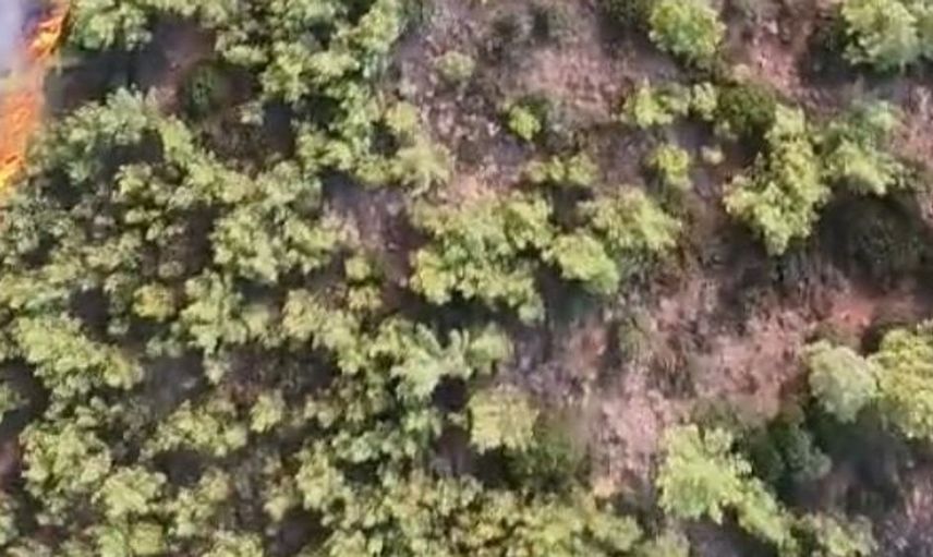 Marmaris’teki yangına hava destekli müdahale sürüyor