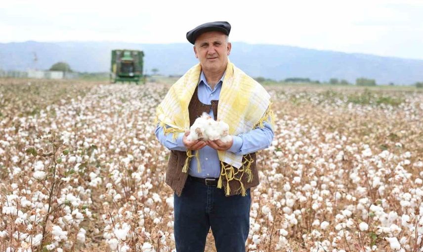 İncirliova'da pamuk hasadı sezonu başladı