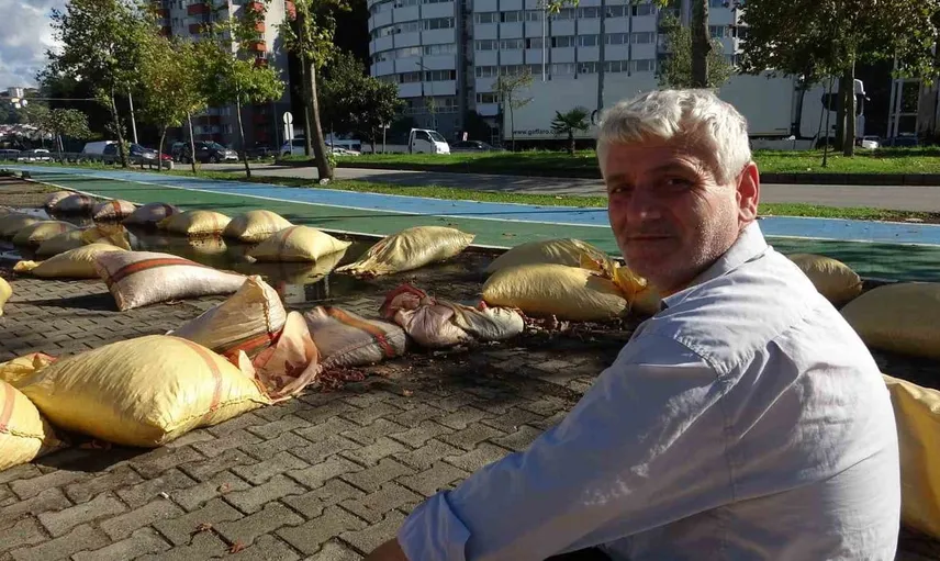 Giresun'da fındık üreticileri kurutma işlemi için hayal kırıklığı yaşıyor