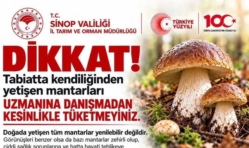 Sinop'ta mantar toplayıcılarına kritik uyarı: Zehirli türler tehlikeye sokuyor