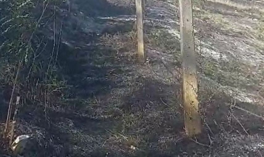 Kastamonu'daki yangın mezarlıkta hasara yol açtı