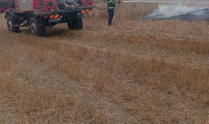 Bolu'da elektrik tellerine çarpan kuş anız yangınına yol açtı