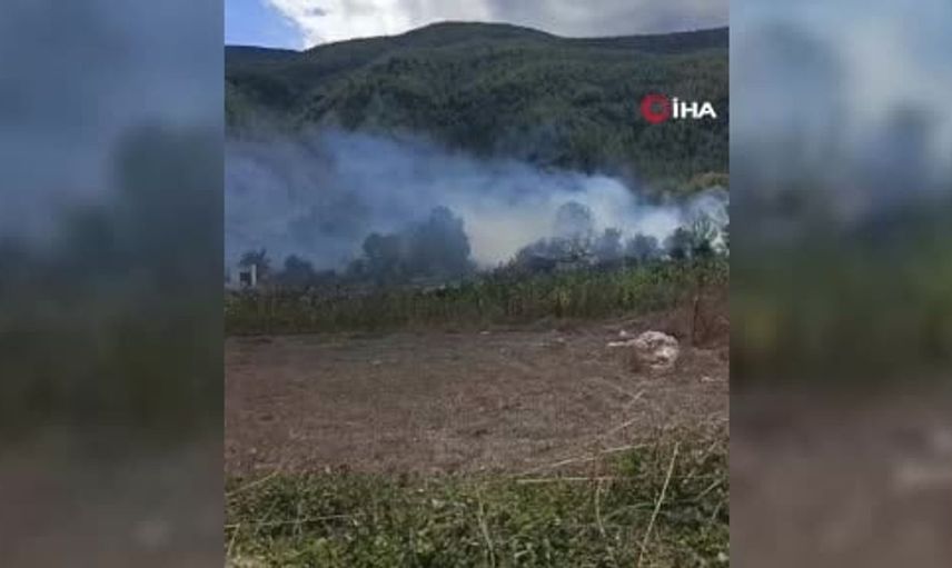Karabük'te çıkan ot yangını barakayı kül etti, evler güvende