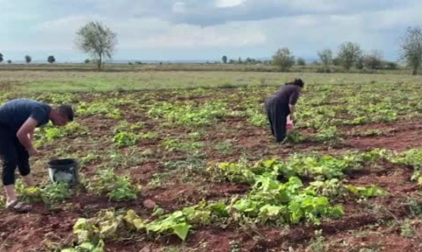 Osmaniye'nin Sumbas ilçesinde 5.2 büyüklüğünde deprem gerçekleşti