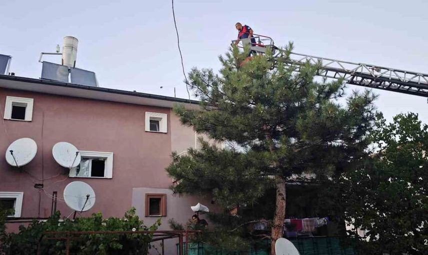 Erzincan’da apartman çatısında mahsur kalan kedi itfaiye ekipleri tarafından kurtarıldı