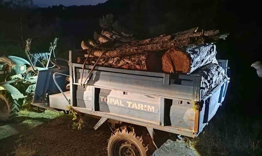 Antakya ormanında usulsüz kesim yapan kişiler yakalandı