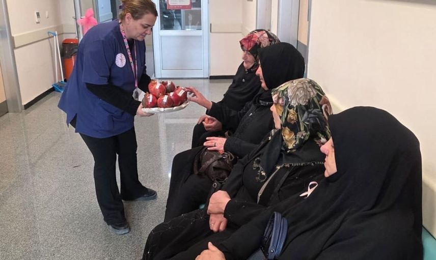Bayburt'ta köy kadınlarına kanser taraması: Sağlık hizmetlerine erişim kolaylaşıyor