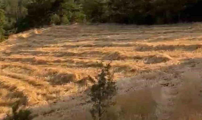 Bolu'daki orman yangını kontrol altına alındı, soğutma çalışmaları sürüyor