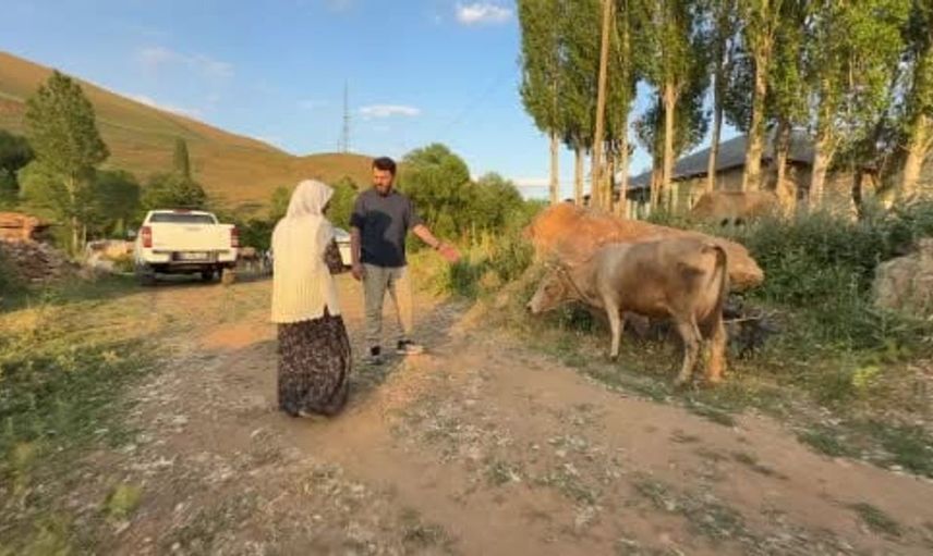 Çocuklarının rızkı için hayata tutunan Ayni Özbek, yeni ineğine kavuştu