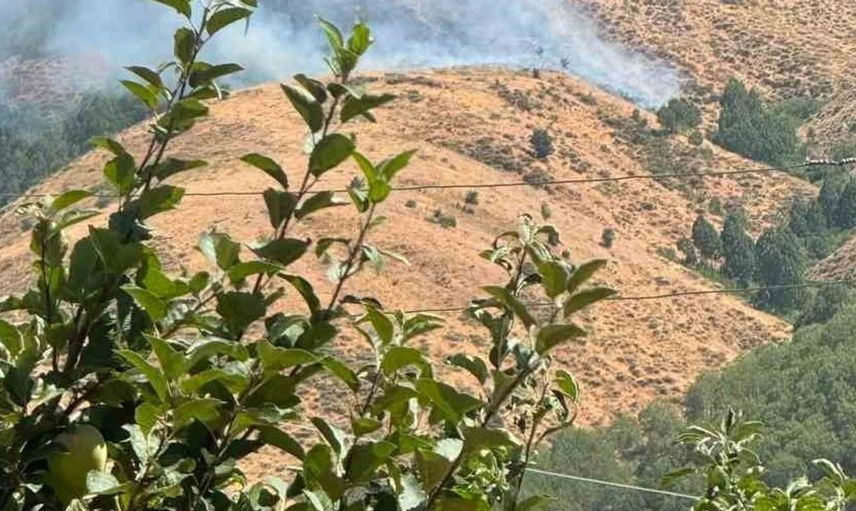 Bingöl'de yangın kontrol altında: ekiplerin koordineli çalışmasıyla başarıya ulaşıldı