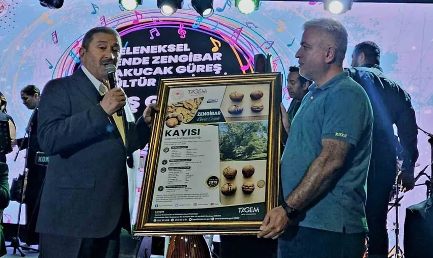 Darende’nin zengibar cevizi, kalite ve verimlilikte dünya markasına fark attı
