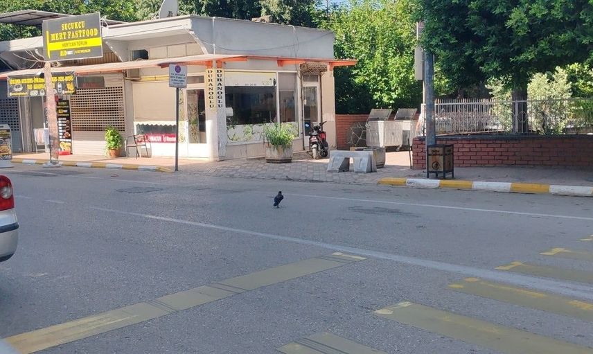 Karga kayboldu, mahallelinin sesi Süleyman Bakıcı: kargamızı geri istiyoruz