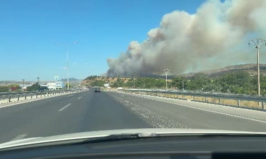 Çanakkale'de orman yangını çıktı