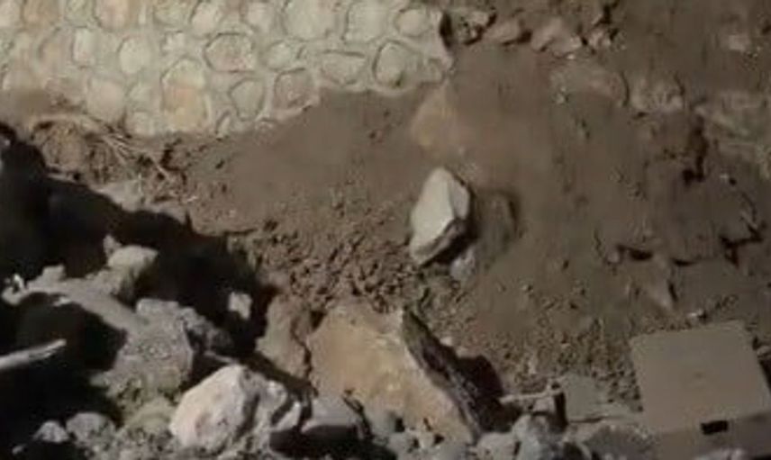 Ovacık'ta yine görüntülenen sevimli ayı, yerleşim alanlarında dolaşmaya devam ediyor