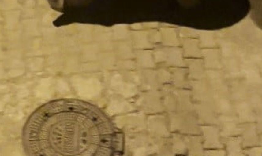 Kars'ta iki boz ayı mahalle aralarında gezinti yaptı