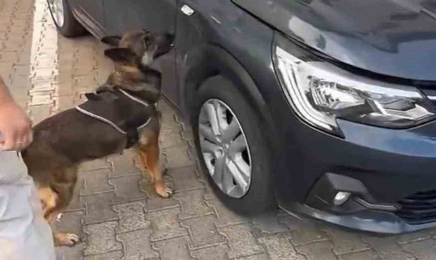 Bingöl'de otomobil motorundan uyuşturucu çıktı: 3 kişi tutuklandı