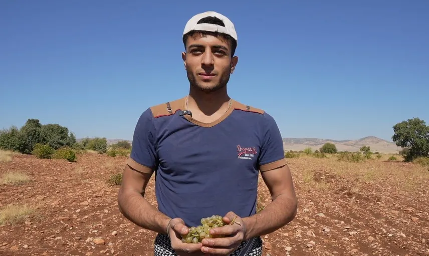 Mardin’in mazrone üzümü pekmez yapımında geleneksel lezzetleri yaşatıyor