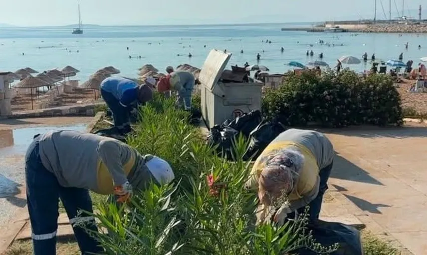 Didim Belediyesi’nden yeşil alanlara yönelik kapsamlı bakım çalışmaları